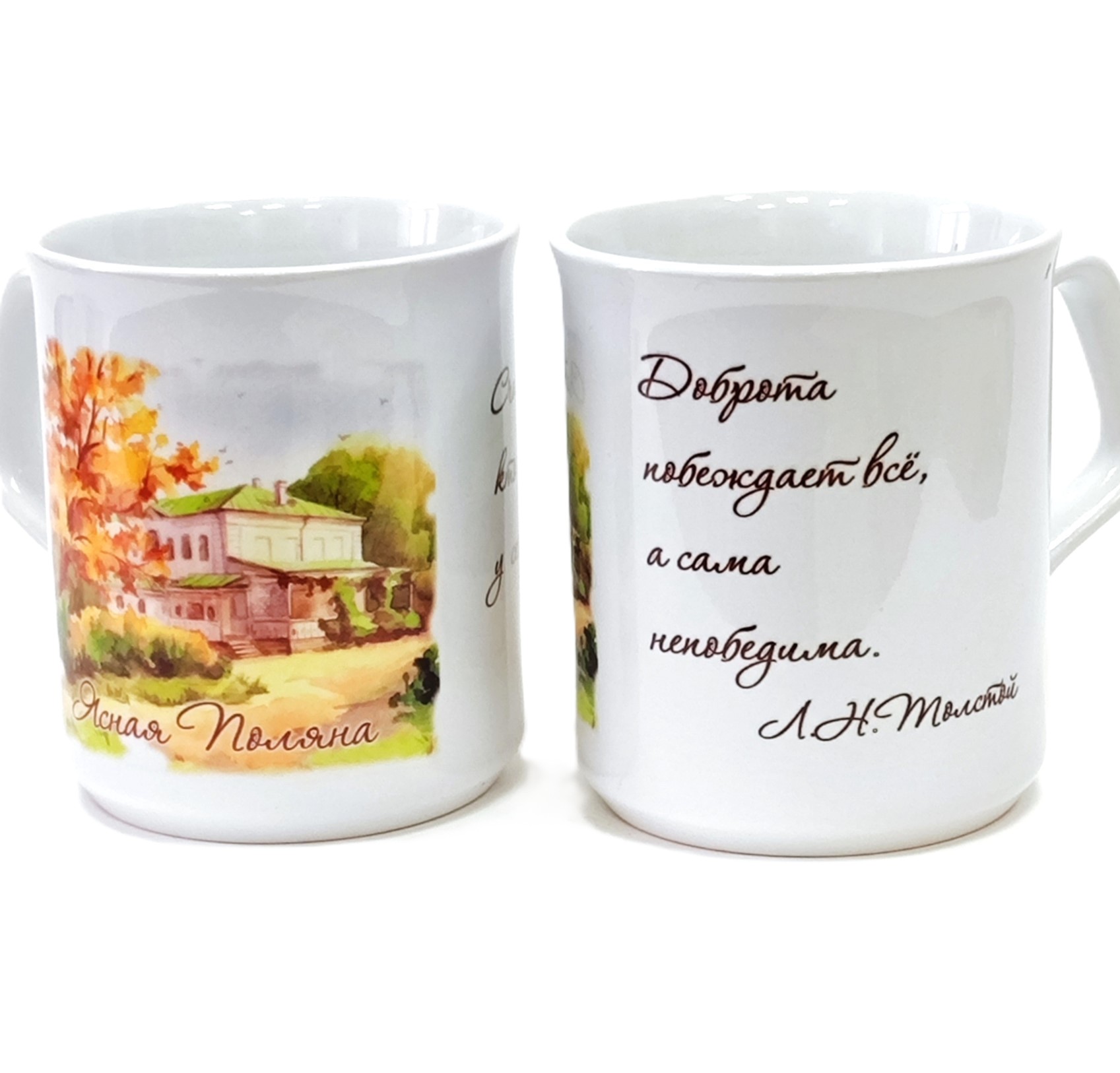 картинка Кружка спарта "Дом Толстого""