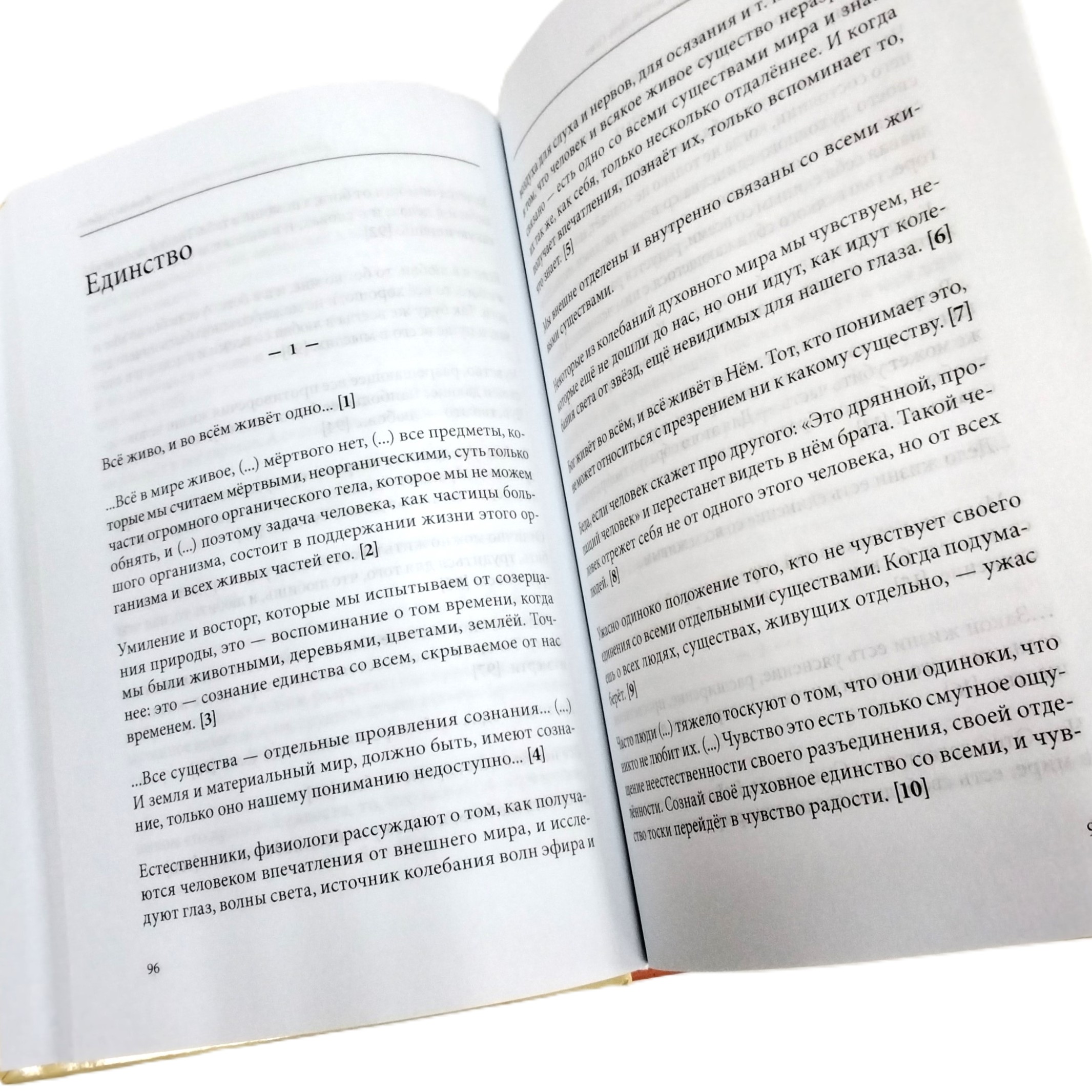Книга "Лев Толстой. О величии души человеческой. Путь огня" - вид 6