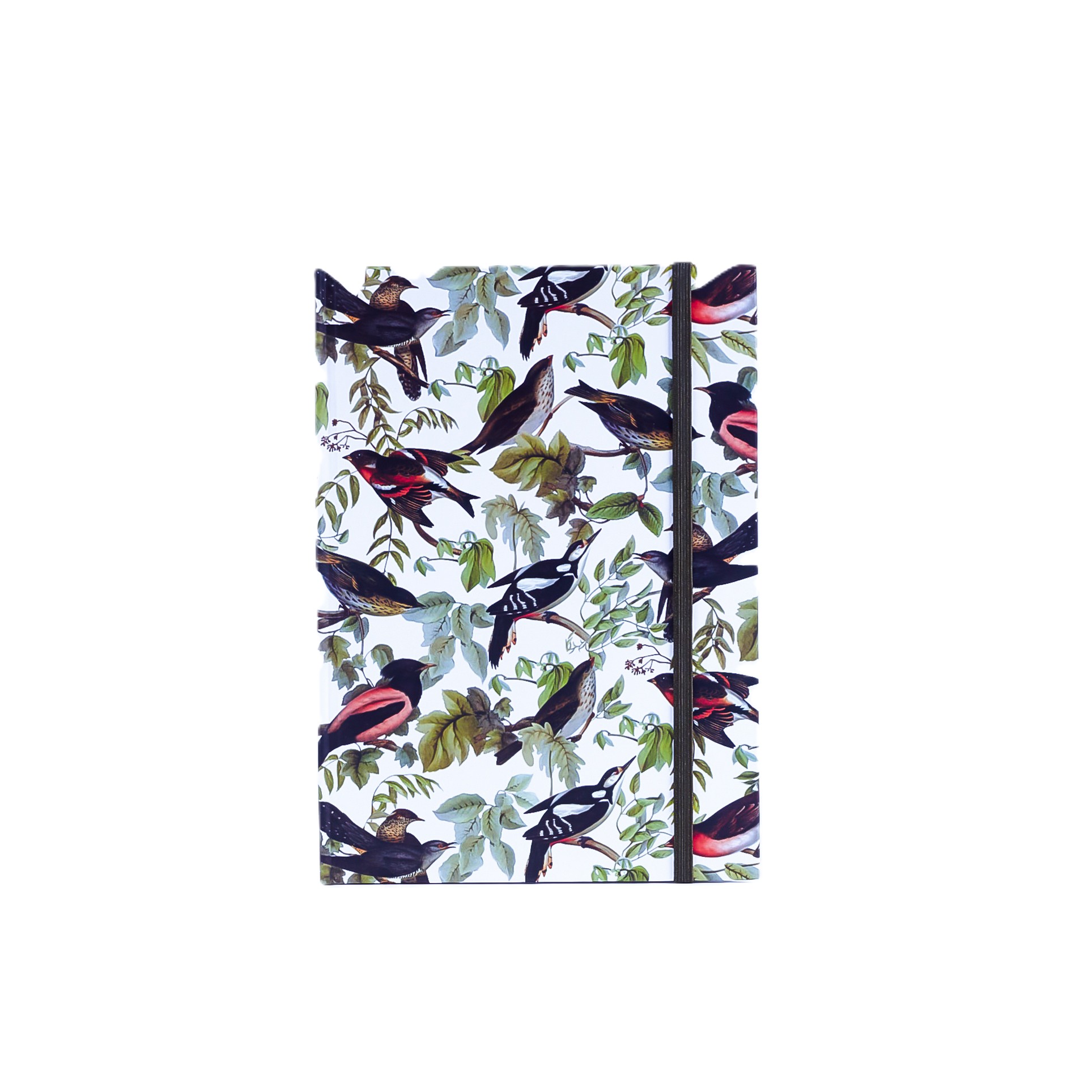 картинка Книга для записей "Птицы"