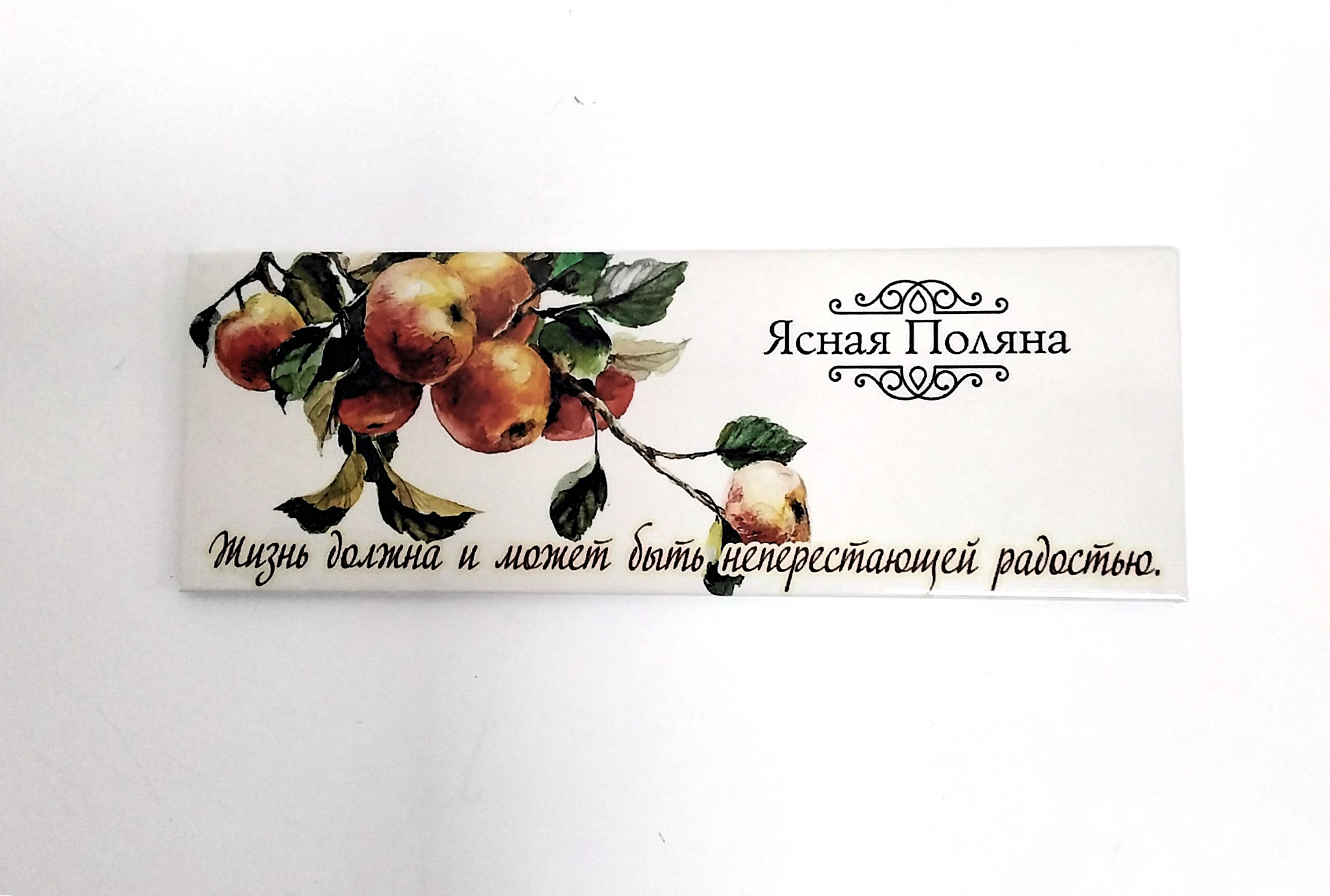 Магнит закатной 115*40 мм